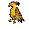 Caracara